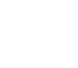 Siena Educación